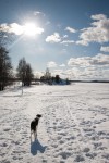 Esikatselukuva albumille: Jäällä 12032010