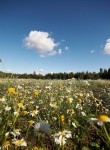 Esikatselukuva albumille: Tampereen Kameramafian miitti 16072007