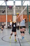 IMG_2166.jpg