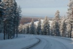 IMG_1424.jpg